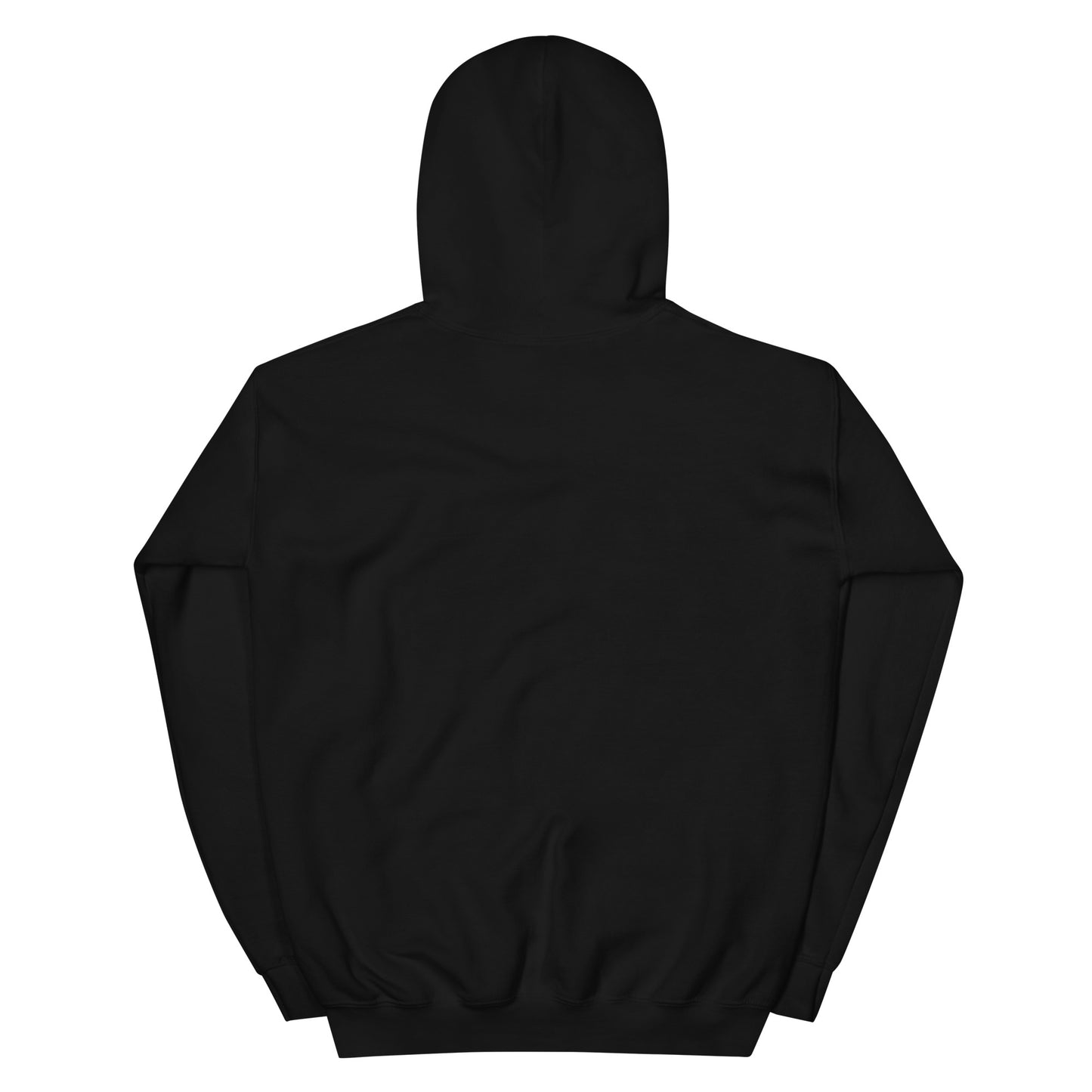 Love + Light La Grange Original Hoodie