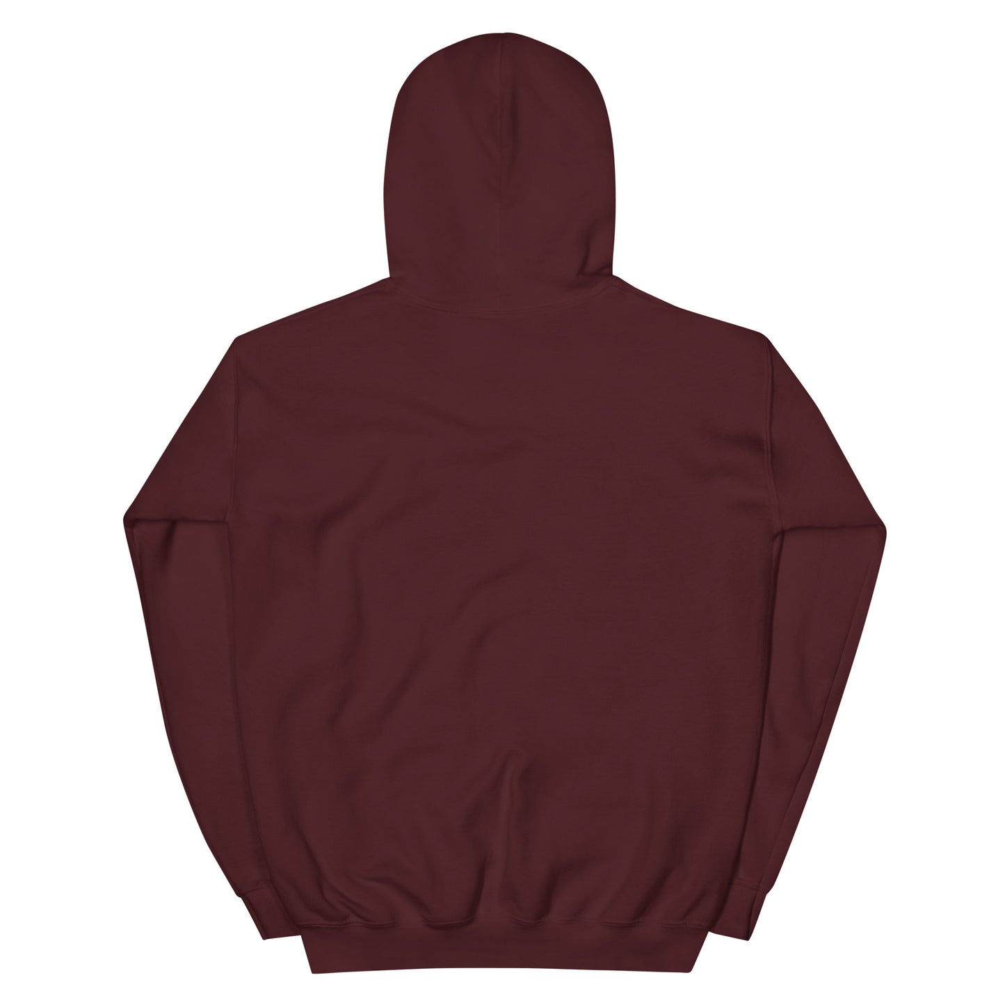 Love + Light La Grange Original Hoodie
